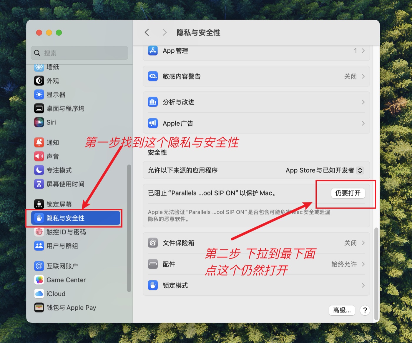 隐私与安全性 仍然打开