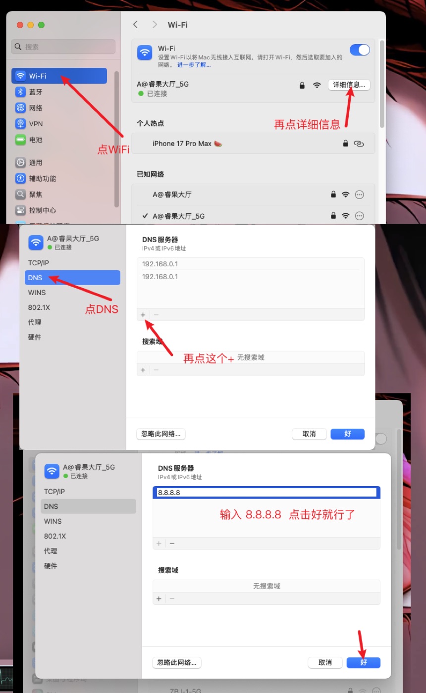 设置dns为8.8.8.8